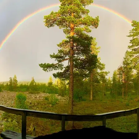Luppo - Pine Log On Utsuvaara Fell In Levi *
