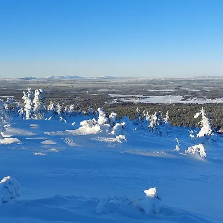 Luppo - Pine Log On Utsuvaara Fell In Levi Βίλα *