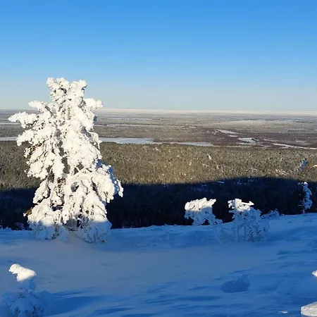 فيلة Luppo - Pine Log On Utsuvaara Fell In Levi Kittilä