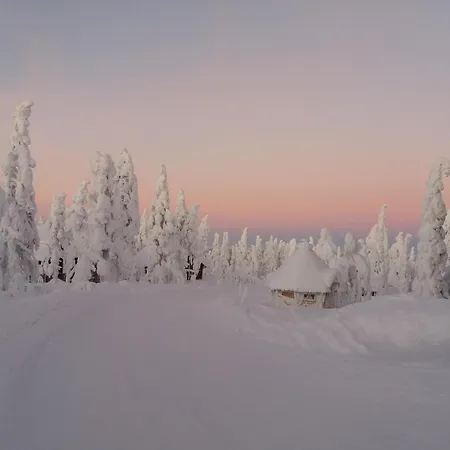 Luppo - Pine Log On Utsuvaara Fell In Levi فيلة *