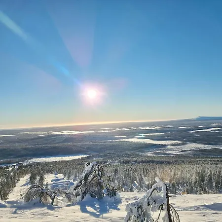 Luppo - Pine Log On Utsuvaara Fell In Levi Βίλα