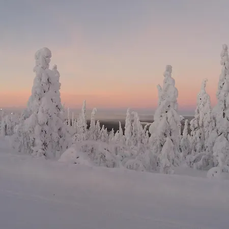 Luppo - Pine Log On Utsuvaara Fell In Levi *